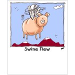 SwineFlew